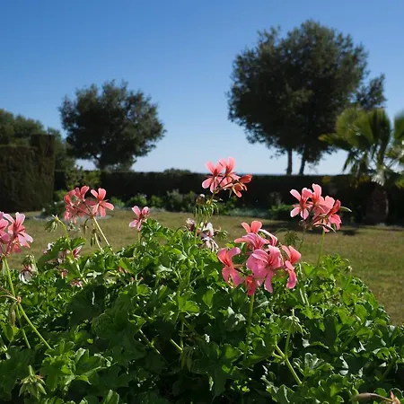 Miraflores & Country Club Apartamento